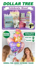 Dollar Tree flyer preview